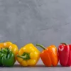 Seed mix Seklos LT PNOS — Sweet Pepper seeds, packet 0.6 g