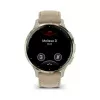 Garmin Venu 3S 41mm, french gray/softgold