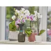 Hand sprayer Gardena 11110-20 0.75 L Black