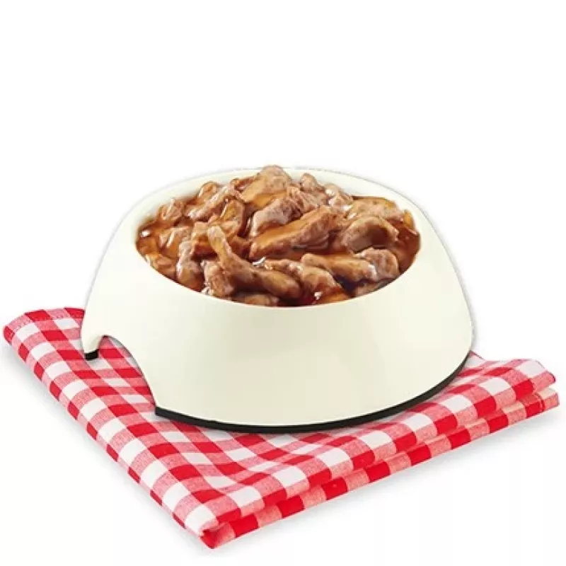 STUZZY Sfilaccetti with white fish meat - wet dog food - 100g