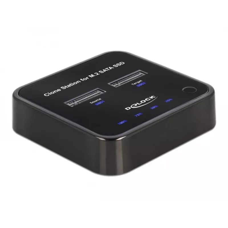 DeLOCK 64178 Docking Station USB 3.2 Gen 2 Type-C SSD M.2