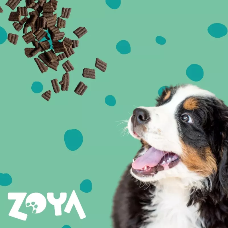 Dry dog food ZOYA ColdPRO Deer 9 kg — adult maintenance, single‑protein venison, 26% protein, 9.5% fat