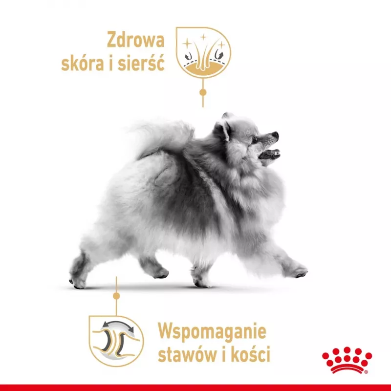 Dry dog food Royal Canin Pomeranian Adult 3 kg — small-breed formula for adult Pomeranians