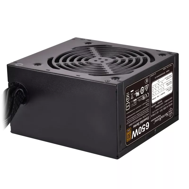 Power Supply Unit Silverstone SST-ET650-B v1.4 650 W