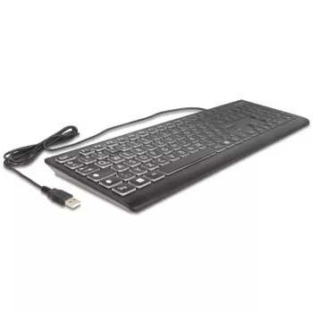 DeLOCK 12170 Keyboard Universal USB QWERTZ German Black Mechanical RGB