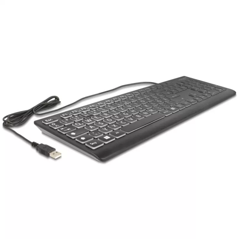 DeLOCK 12170 Keyboard Universal USB QWERTZ German Black Mechanical RGB