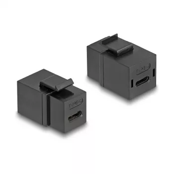 DeLOCK Keystone Module USB 2.0 Type-C female to female black