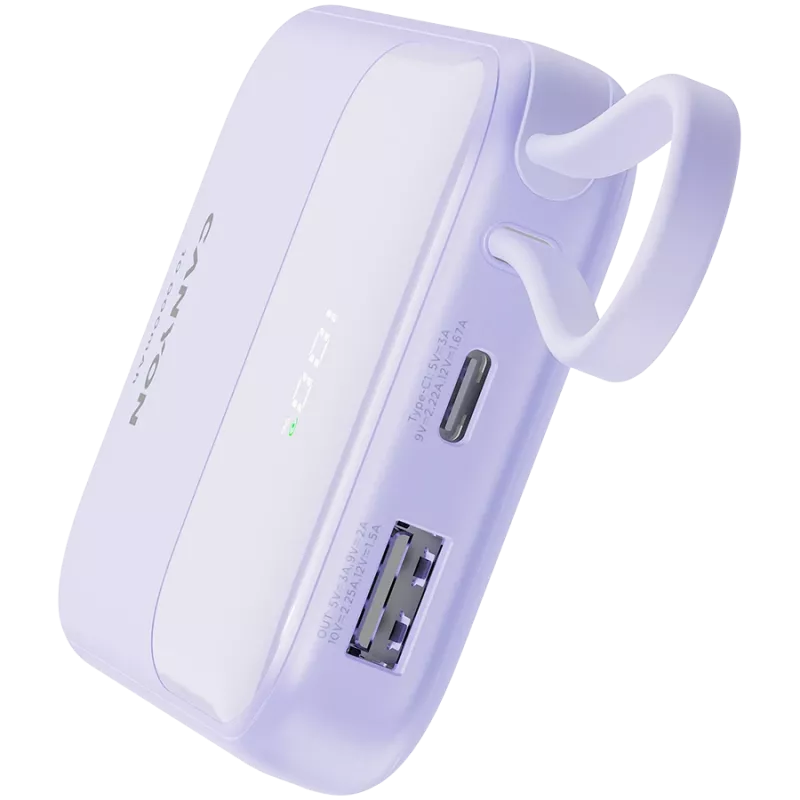 Portable Power Bank CANYON OnPower 101 10000 mAh