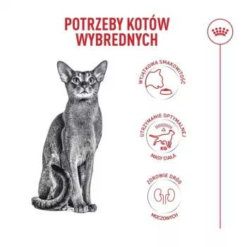Dry cat food Royal Canin Exigent Fussy 2 kg — dry kibble for selective adult cats, poultry flavour, 40% protein