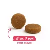BOSCH Sanabelle Adult Chicken & Blueberries - dry cat food - 2kg