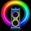 Portable speaker MANTA SPK0601B100, 100 W, Bluetooth, karaoke, wireless microphone, battery, equalizer, disco lighting