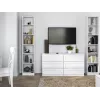 top e shop W40 PAFOS BIA display cabinet — white particle board, 290×400×2000 mm