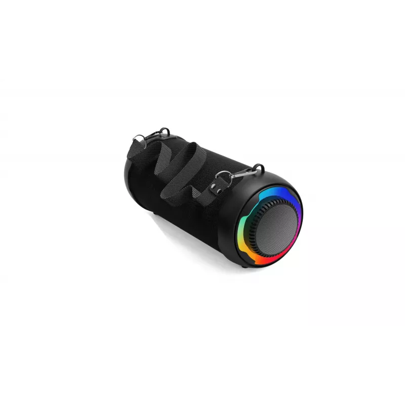 Portable Speaker Denver BTG-213 Black