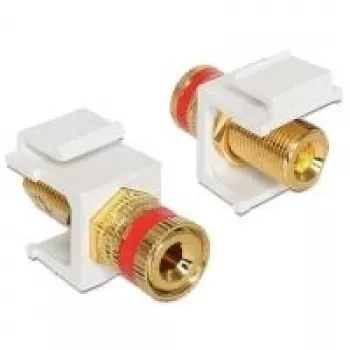 Keystone Module DeLOCK 86304