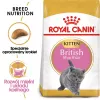 Dry Cat Food Royal Canin British Shorthair Kitten 2 kg – chicken, 38% protein, 20% fat, growth formula