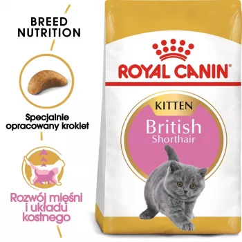 Dry Cat Food Royal Canin British Shorthair Kitten 2 kg – chicken, 38% protein, 20% fat, growth formula