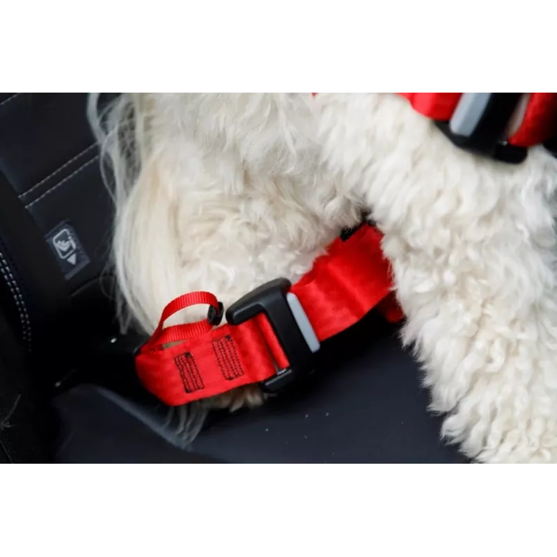 Dog Harness ZOLUX TRAVEL SAFE M, size M, red