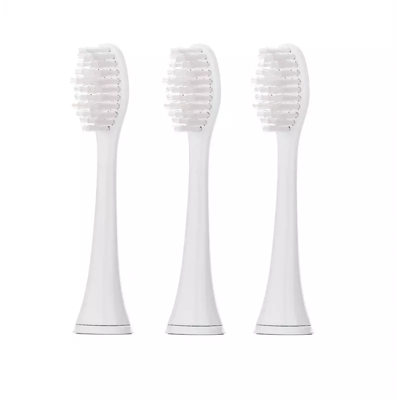 Sonic toothbrush Blaupunkt DTS601