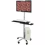 Value 17.99.1174 Mobile Sit/Stand PC Workstation Silver