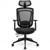 Office Chair Sharkoon OfficePal C20 Padded seat Meshed backrest Black