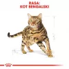 Dry Cat Food Royal Canin Bengal Adult 10 kg — Chicken, 40% Protein, 18% Fat