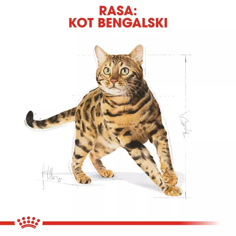 Dry Cat Food Royal Canin Bengal Adult 10 kg — Chicken, 40% Protein, 18% Fat