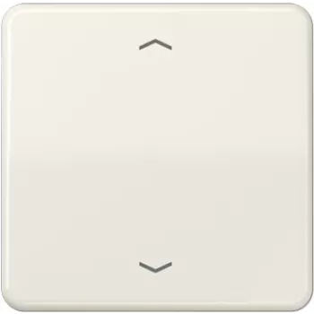 Jung CD590P Networking Device
