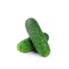 Cucumber Hela F1 Toraf Vegetable Seeds, 5g Pack