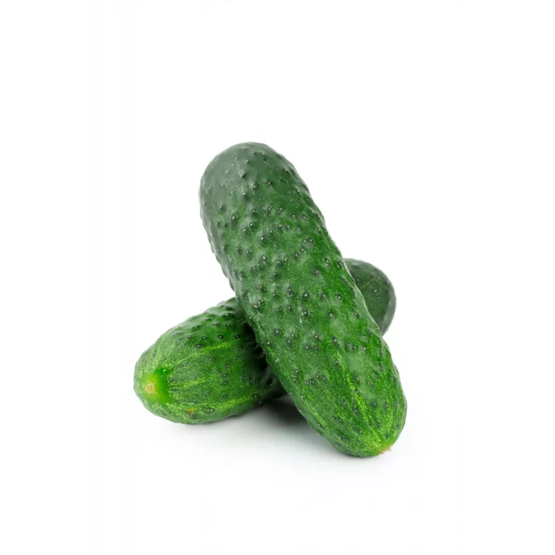 Cucumber Hela F1 Toraf Vegetable Seeds, 5g Pack