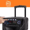 Portable karaoke speaker MANTA SPK5021PRO 20W, 12 inch woofer, 80W RMS, Bluetooth, battery up to 5h, SD/USB, mic & guitar inputs