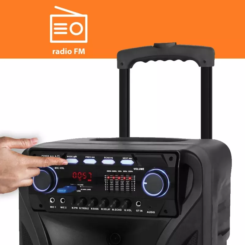 Portable karaoke speaker MANTA SPK5021PRO 20W, 12 inch woofer, 80W RMS, Bluetooth, battery up to 5h, SD/USB, mic & guitar inputs