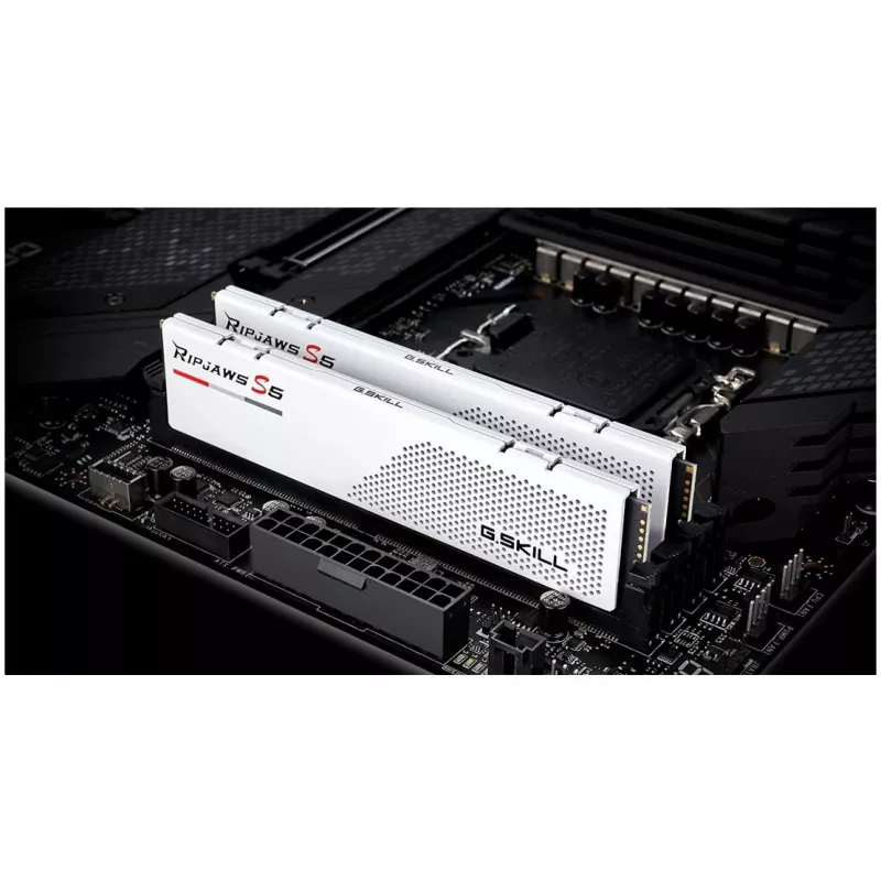 G.Skill F5-6000J3036F24GX2-RS5W memory module 48 GB 2 x 24 GB DDR5 5600 MT/s