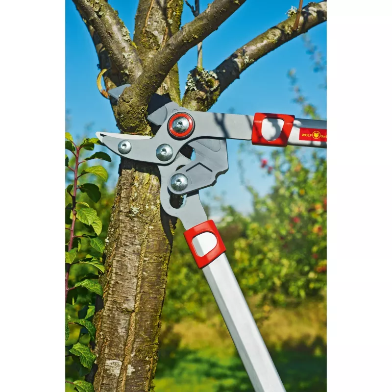 Pruning Shears WOLF-Garten POWER CUT RS 650 BASIC PLUS