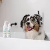 VETEXPERT Clinic Care Hypo&Omega shampoo for dogs and cats, 250 ml