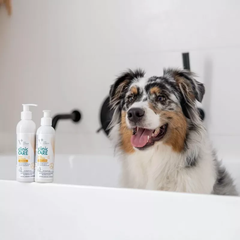 VETEXPERT Clinic Care Hypo&Omega shampoo for dogs and cats, 250 ml