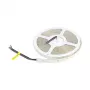 Synergy 21 LED Flex Strip 5050 - 60 RGB DC24V + RGB-W one chip SWW IP65