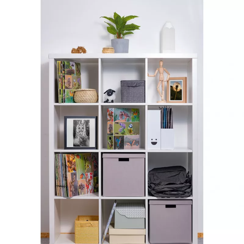 Ring binder HERMA 19254 A4 Multicolour D-ring Storage 285x315mm