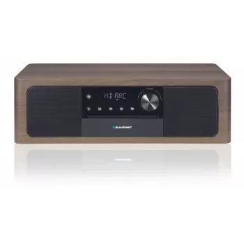 Portable Bluetooth Speaker BLAUPUNKT MS22BT — Wireless portable sound, Bluetooth connectivity