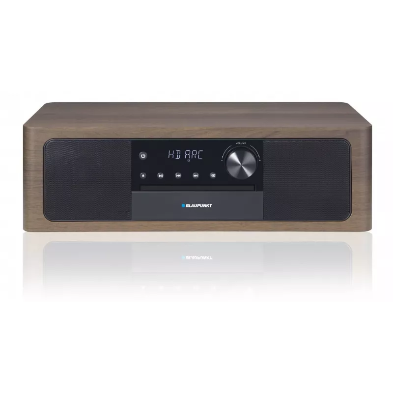 Portable Bluetooth Speaker BLAUPUNKT MS22BT — Wireless portable sound, Bluetooth connectivity