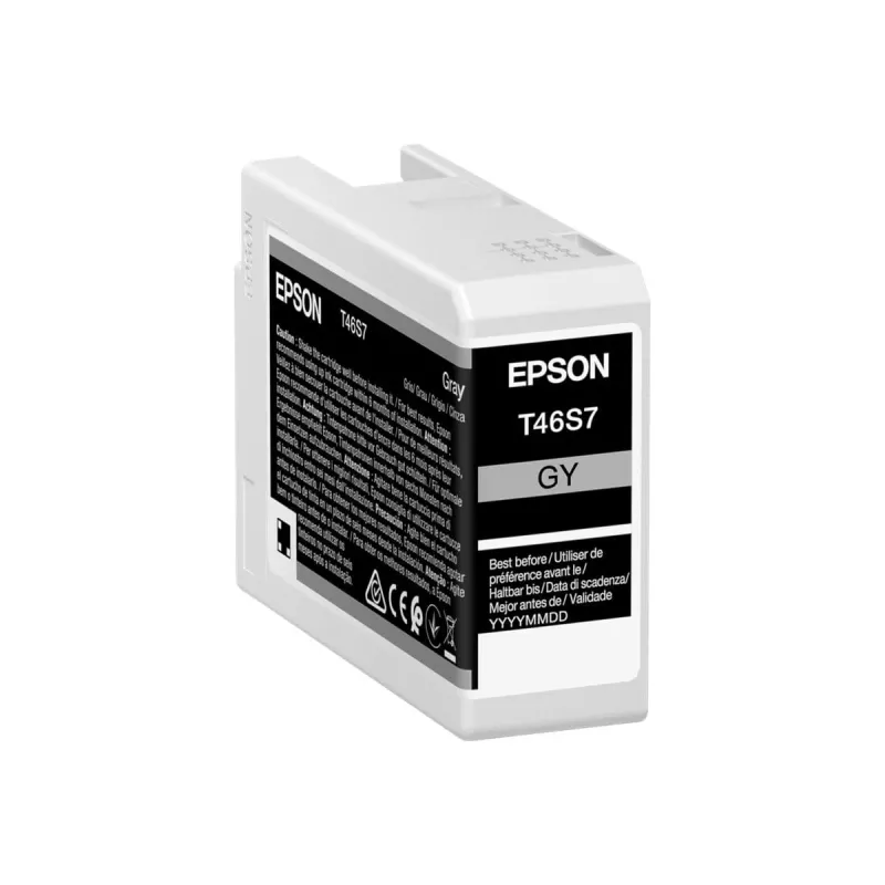 Ink cartridge Epson UltraChrome Pro 10 T46S7 Grey original for compatible Epson printers