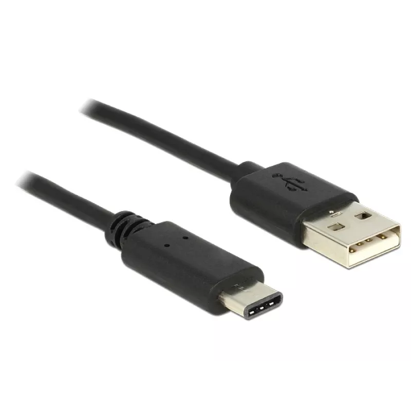 USB Cable DeLOCK 0.5m USB2.0-A USB2.0-C