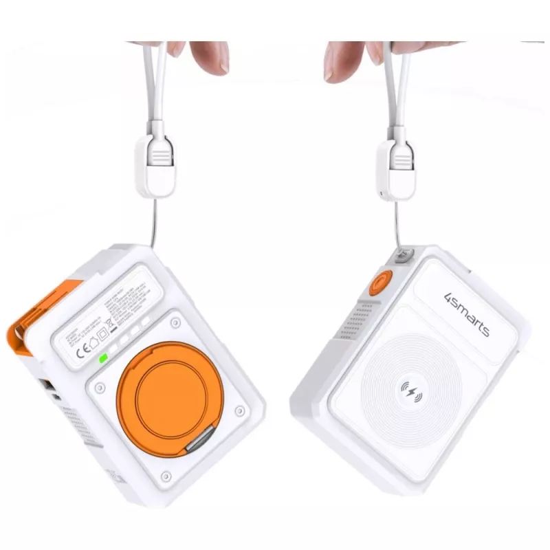 Portable Power Bank 4smarts 541384 10000 mAh