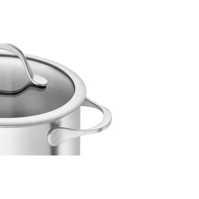 ZWILLING Essence 5-Piece Stainless Steel Cookware Set with Glass Lids
