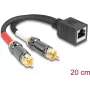 DeLOCK audio cable 0.2 m RJ-45 2 x RCA Black