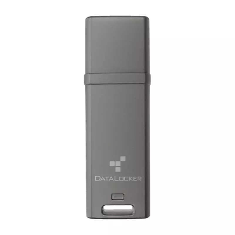 DataLocker 64GB DL GO 256BIT - Flash-Memory - assorted (DLGO-064)