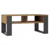 Coffee table top e shop Modern 90×58×50 cm, anthracite frame, Artisan oak shelves, matte