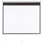 Manual projection screen Sponge Silelis ES-2 model with manual pull-down mechanism model 0