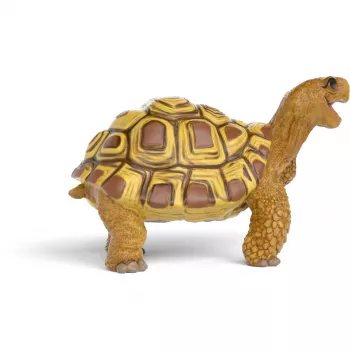 Schleich toy figure Henrietta the Turtle from The School of Magical Animals series, detailed PVC figurine