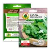 Seeds on Tape — Apte Rukola (Eruca sativa) 6 m for Home and Garden Cultivation
