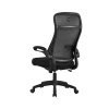 Onex Gaming Office Chair | Skyflex Premium Mesh | Black